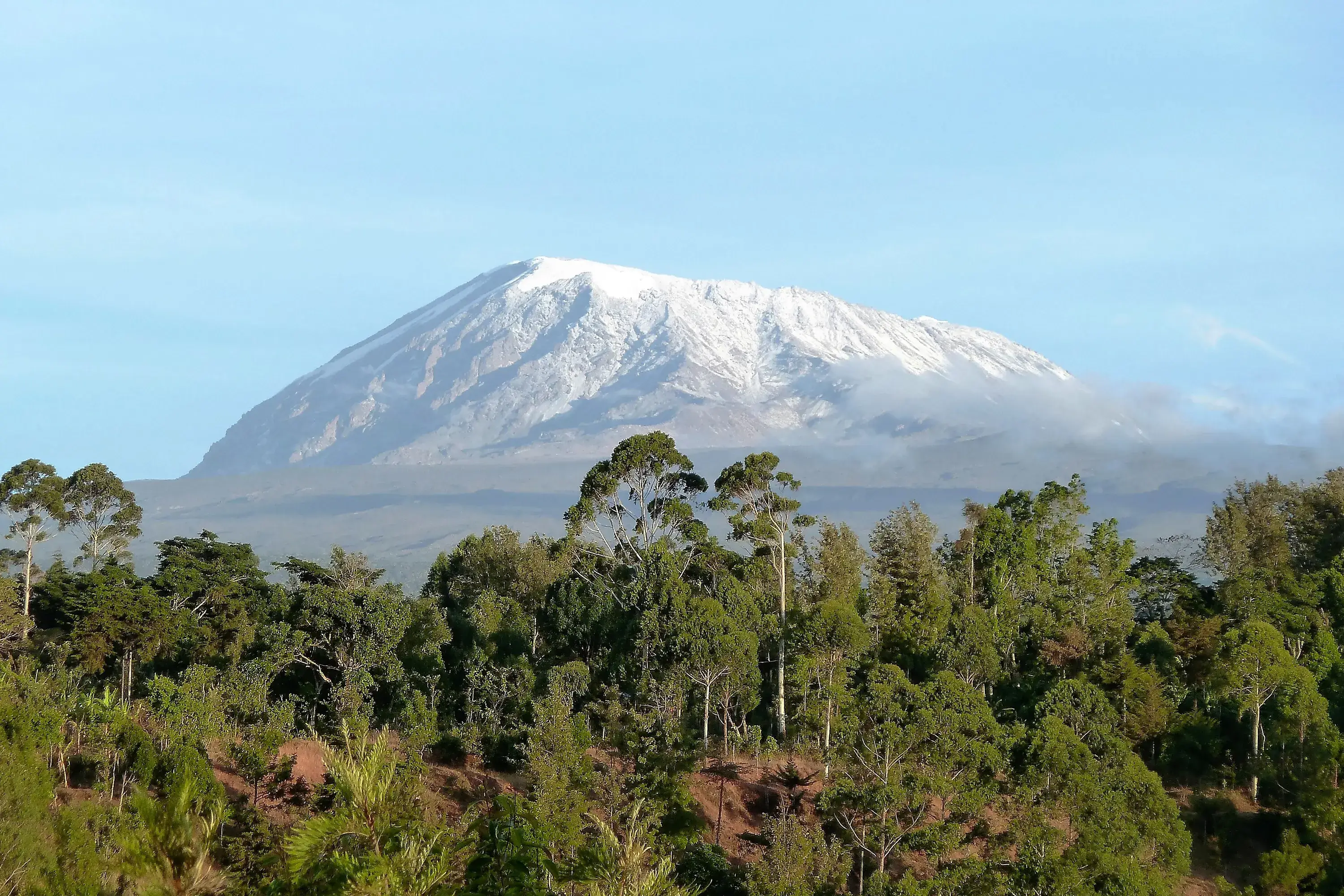 Kilimanjaro